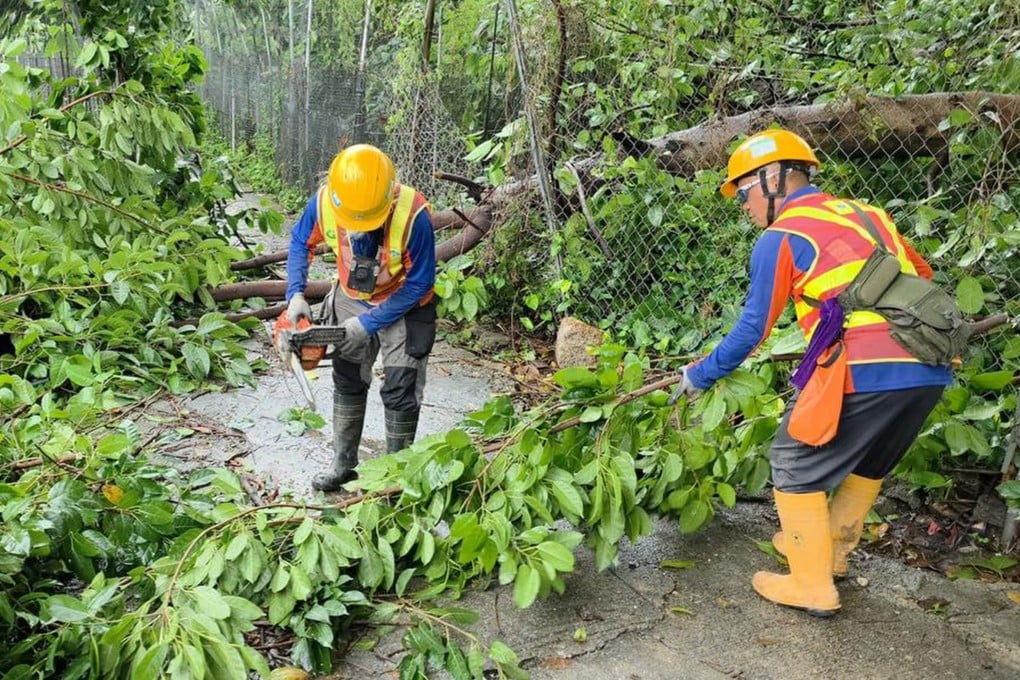 Government workers cut up fallen branches using a chainsaw. Photo: Handout