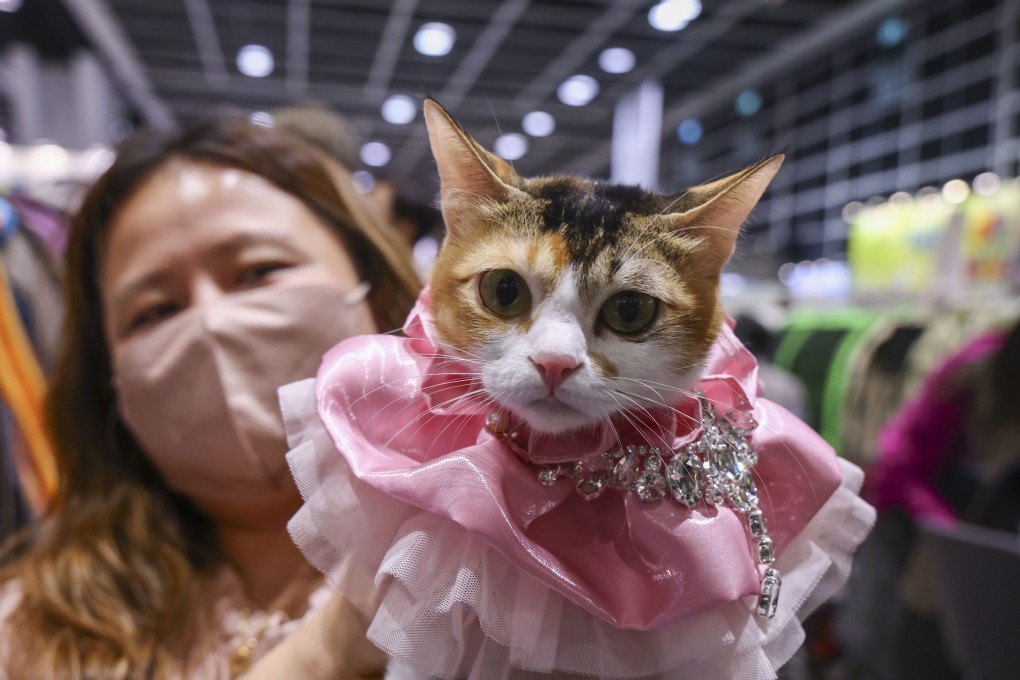 Jennifer Cheung with her cat Ho Choi, winner of the Household Pet competition at last year’s Hong Kong Cat Expo. Photo: Dickson Lee