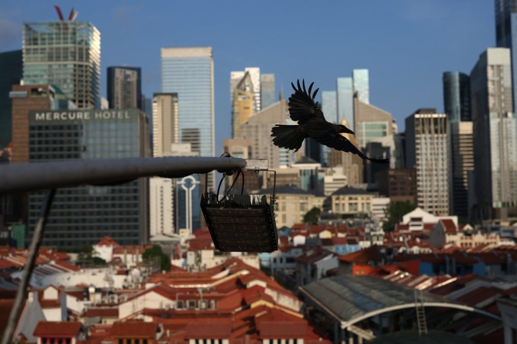 A crow flies over buildings in Singapore with the central business district in the background. People in their thirties accounted for the highest number of suicides last year in the city state. Photo: Reuters A crow flies over buildings in Singapore with the central business district in the background. People in their thirties accounted for the highest number of suicides last year in the city state. Photo: Reuters