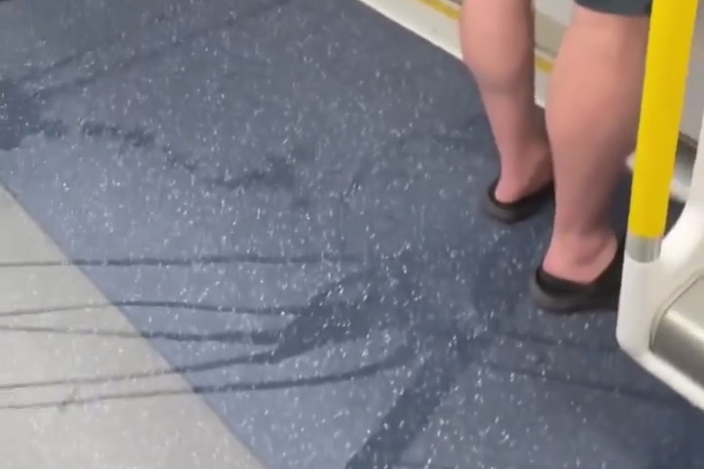 A screengrab from the clip that has sparked discussions online about the behaviour of passengers on the MTR. Photo: Handout