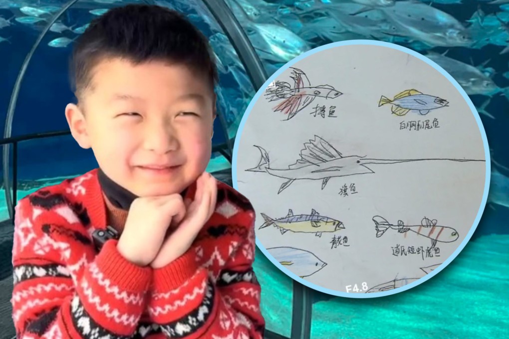 A fish-mad six-year-old boy from Shanghai who wrote to an aquarium park after he noticed some sea life was missing has won many hearts online.Photo: SCMP composite/gmw.cn/QQ.com/RedNote