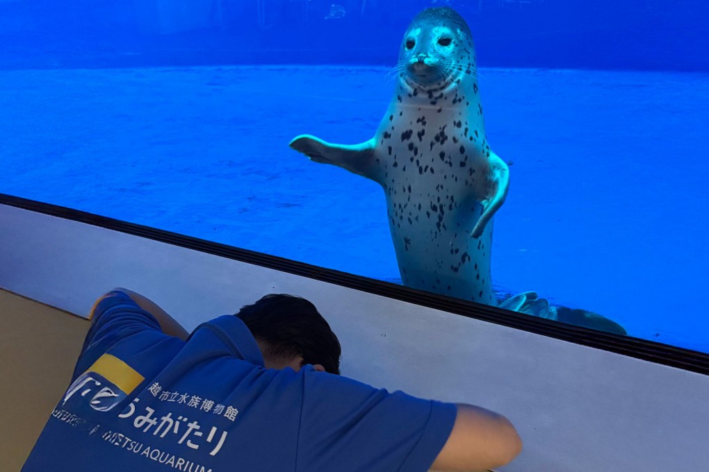 A Japanese zookeeper mistakenly called a baby seal the wrong name in a social media post, then  later bowed to the animal in apology, melting hearts online. Photo: X.com