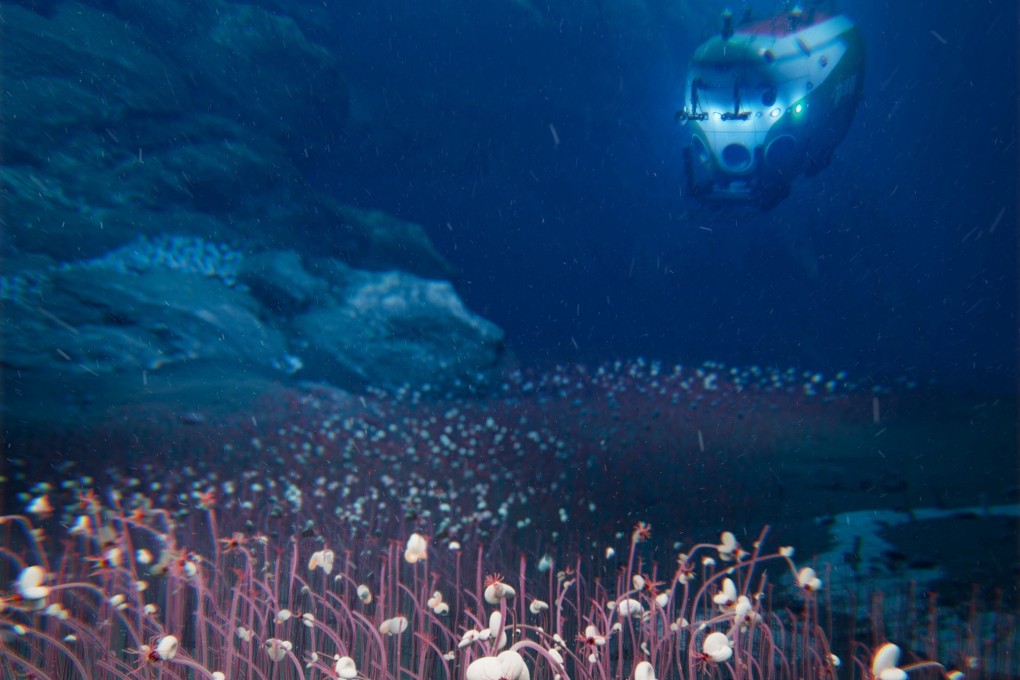 Ekspedisi Laut Dalam Temukan Koloni Makhluk Hidup Terdalam Tanpa Cahaya Matahari