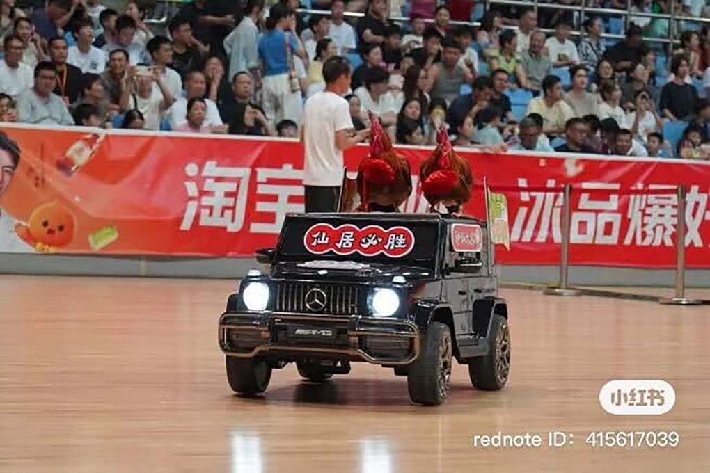 A pair of chickens are driven around the court in a remote control car during a ZheBA game in Taizhou, Zhejiang province on July 18. The amateur basketball league often uses games to promote cities’ local produce and livestock. Photo: Handout