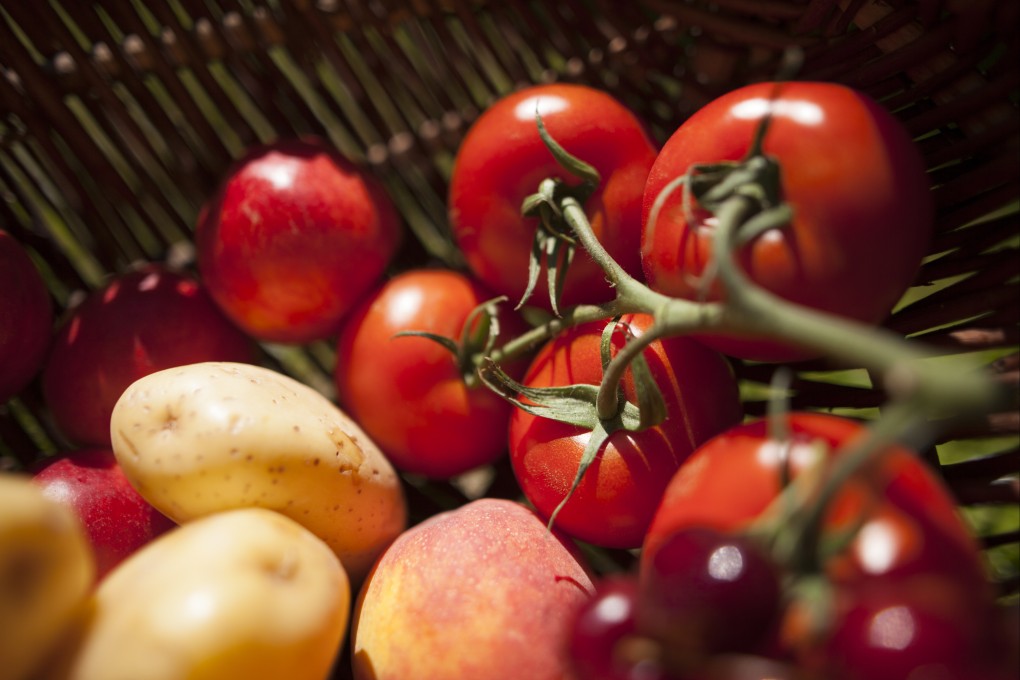 A Chinese-led research team has uncovered an ancient link that makes a forerunner of the tomato a genetic parent of the potato. Photo: Getty Images