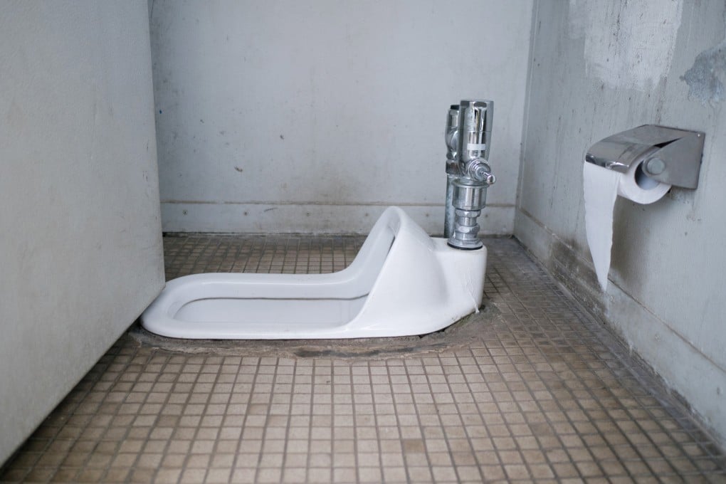 Squat toilets are becoming rarer in Asian cities. Photo: Shutterstock