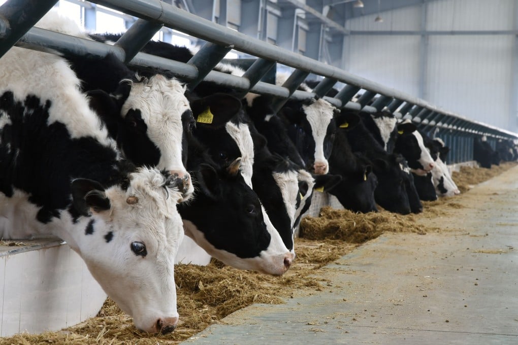 China will implement a quality-grading system for locally produced beef to promote consumption of high-quality versions of the meat. Photo: Xinhua