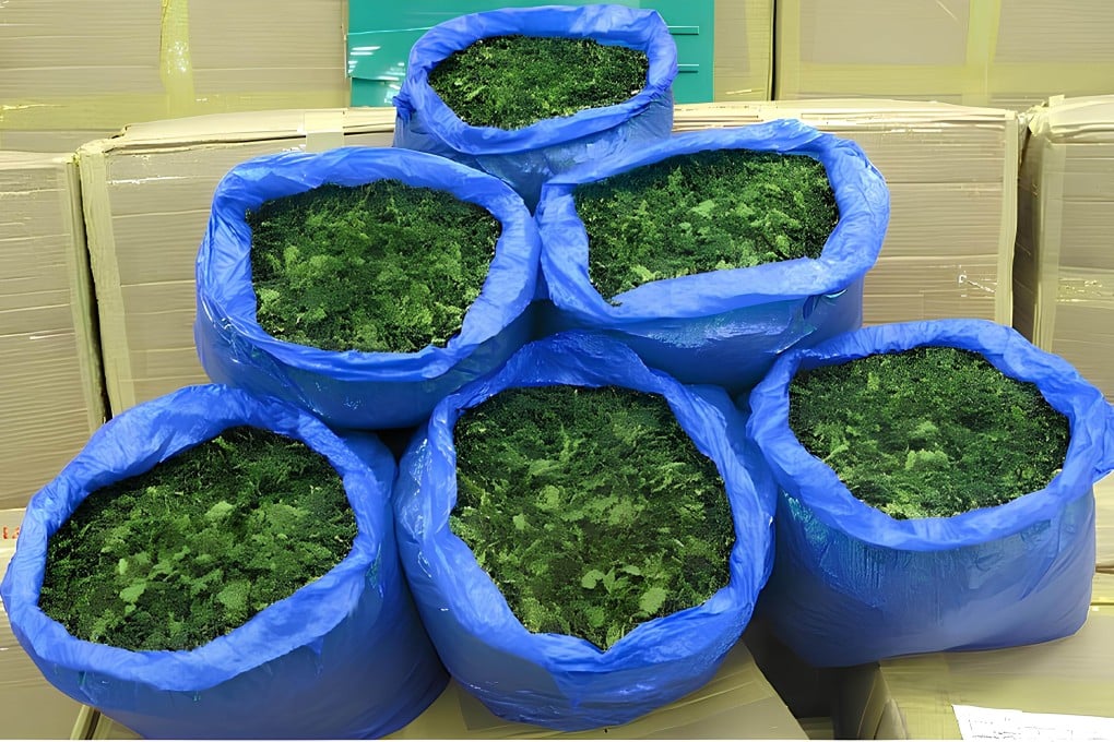Customs has about six tonnes of Khat, a stimulant when chewed, to destroy. Photo: Handout