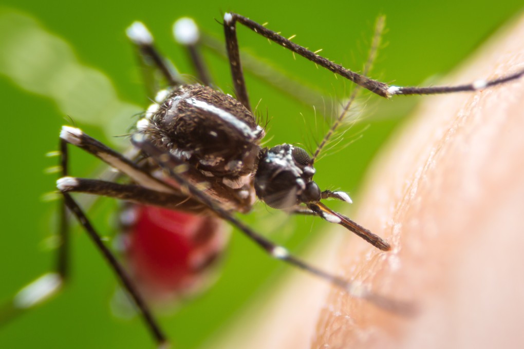 The Centre for Health Protection has said that it was investigating the three imported cases. Photo: Shutterstock