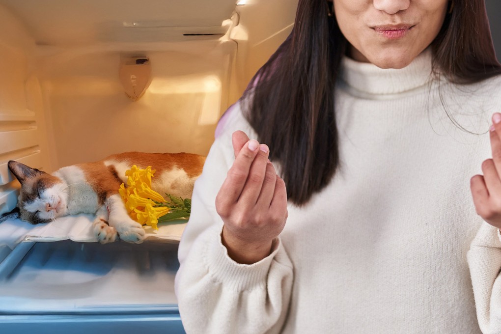 Grieving pet owners in China are spending thousands on psychics to communicate with their dead animals. Photo: SCMP composite/Shutterstock