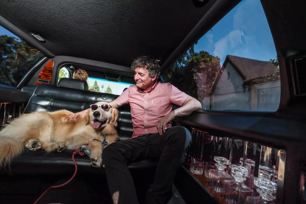 Dug the golden retriever rides in a stretch limo during his six days of luxury pet wellness in Los Angeles, California. Photo: TNS