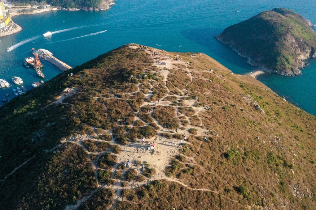 The hikers were on Yuk Kwai Shan in Ap Lei Chau at the time of the bee attack. Photo: Sam Tsang