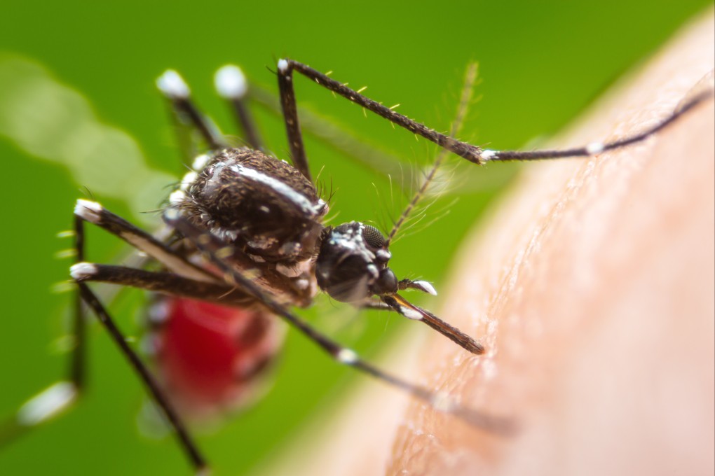 The test being developed aims to detect the antigen-specific proteins on the surface of the chikungunya virus. Photo: Shutterstock