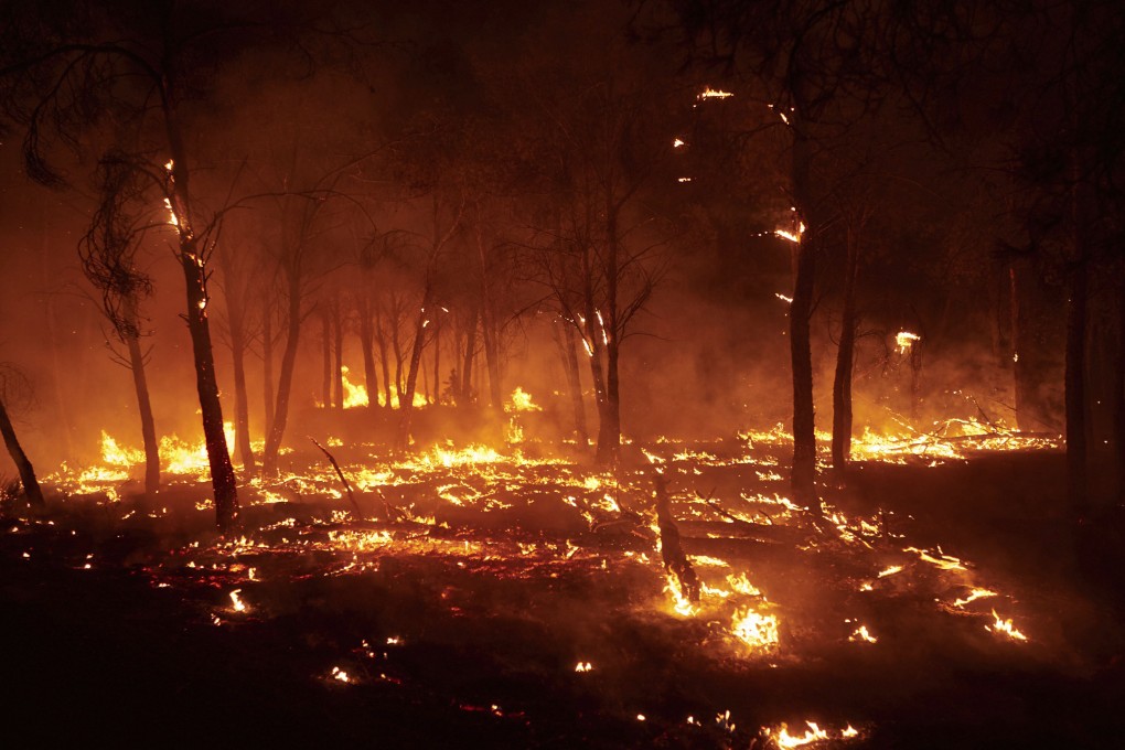 Burning trees are pictured during a wildfire in Carcastillo, northern Spain on Sunday. Photo: AP