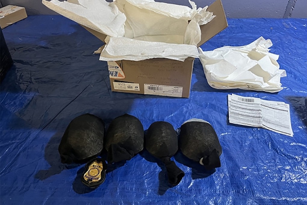 Eastern box turtles intercepted during a border inspection. A Chinese man pleaded guilty to trying to smuggle protected turtles from the US to Hong Kong. Photo: United States Fish and Wildlife Service / AFP / Handout