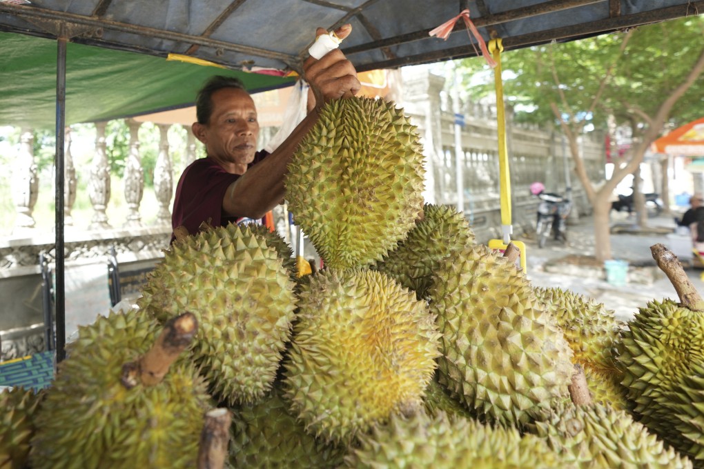 A local vendor prepares his morning store for selling durian fruits at a sidewalk in Chhuk Var village outside Phnom Penh, Cambodia, on July 22. Photo: AP