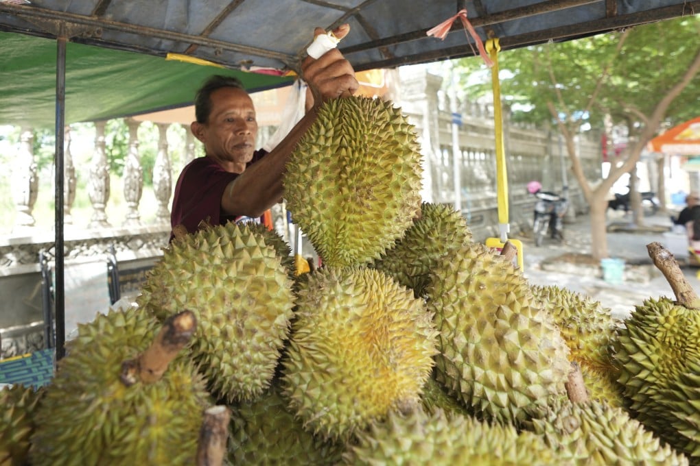 A local vendor prepares his morning store for selling durian fruits at a sidewalk in Chhuk Var village outside Phnom Penh, Cambodia, on July 22. Photo: AP