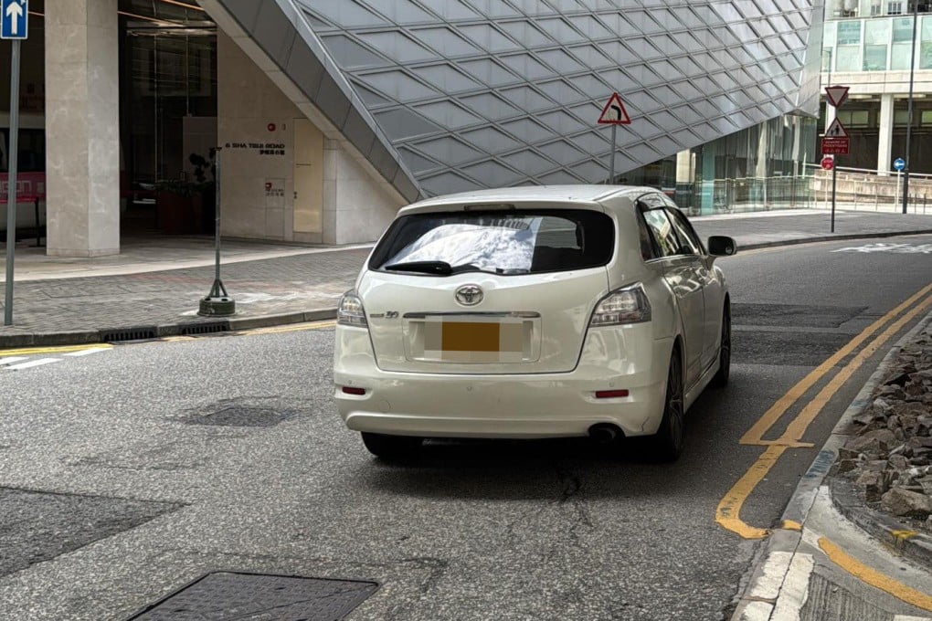 A screenshot from the passenger’s video. Immigration authorities have said they are worried about the trend of illegal employment. Photo: Threads/Terrylky1127