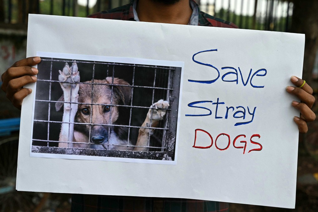 An activist holds a placard during a protest in Hyderabad on August Tuesday, a day after India’s Supreme Court ordered the removal of stray dogs from the country capital, New Delhi. Photo: AFP