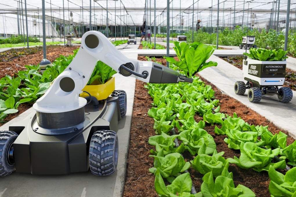 Chinese scientists have been able to boost hybrid crop development speed in a robotic breeding factory. Photo: Shutterstock Images