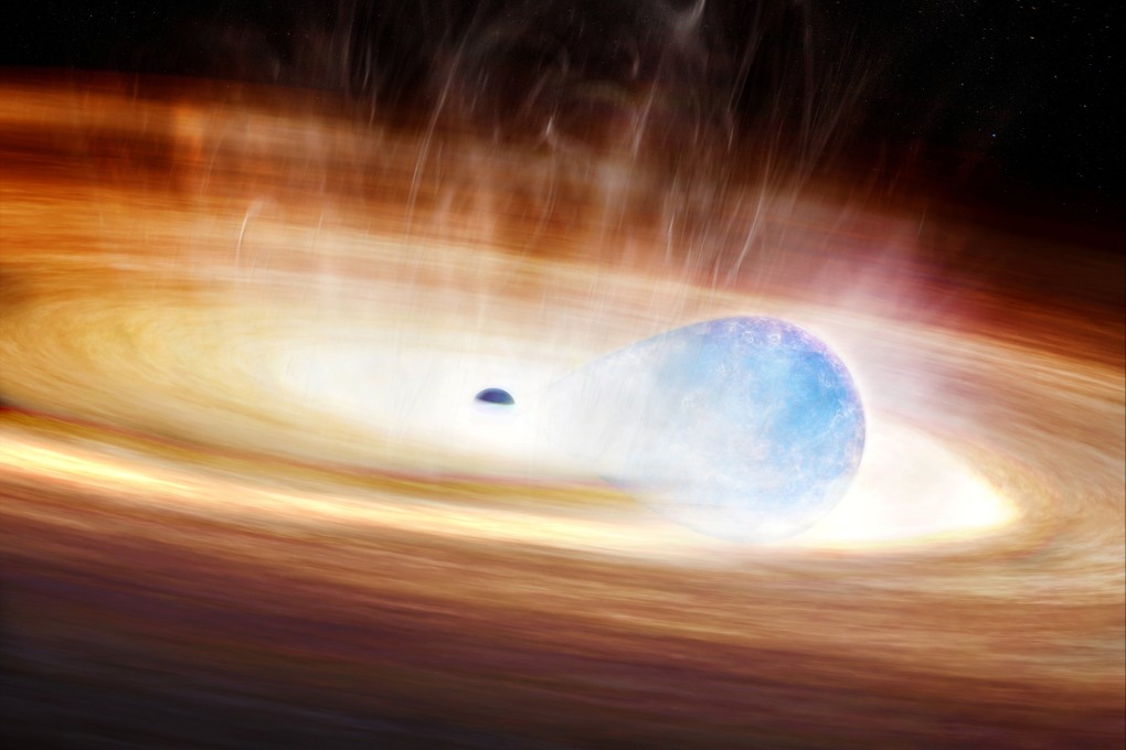 An artist’s conception shows a massive star being stretched by the gravitational forces of a nearby black hole before it explodes. Image: Melissa Weiss/Harvard-Smithsonian Centre for Astrophysics via Reuters