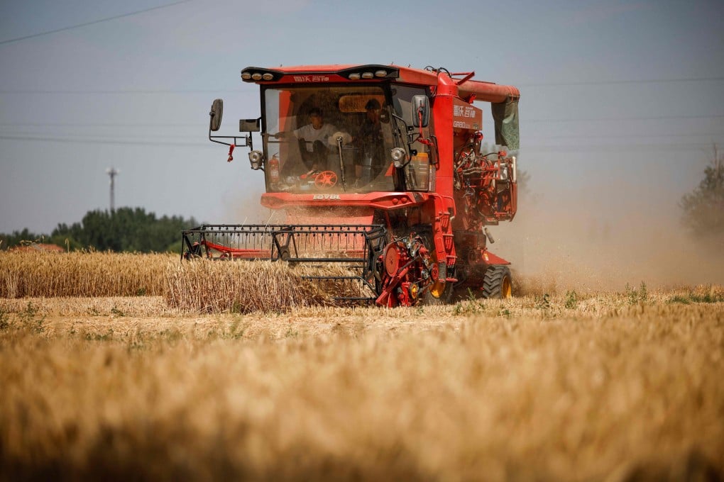 Farmers harvest wheat in a field in Juancheng county, in Heze, eastern China’s Shandong province on June 3. Photo: AFP