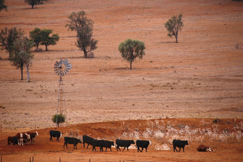 Increased vegetation cover was linked to reduced moisture levels in the soil in some parts of the world, including parts of Australia and the US. Photo: Reuters