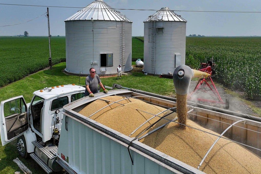US soybean shipments to China, its top buyer, halved in July compared with a year earlier. Photo: AFP