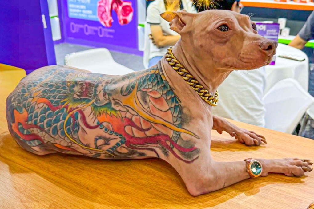The owner of a tattooed dog attending a pet fair in Shanghai sparked outrage after boasting that his pet had been inked without anaesthesia, leading to his banning from the event. Photo: RedNote