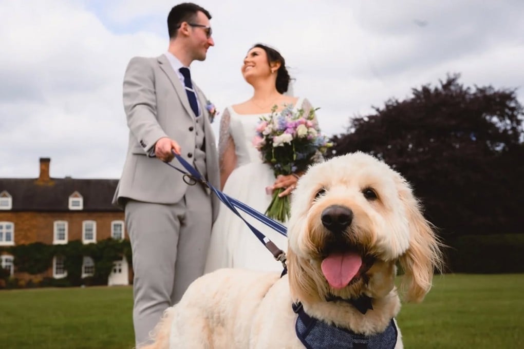 As pet owners increasingly pamper their canine companions with luxuries such as holiday gifts and private dog-park outings, it is no surprise that animals are also being included in milestone moments. Photo: Facebook/Waggy Wedding Events