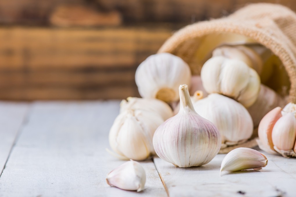 Ripe garlic cloves are tightly packed in bulbs. A good way to check the quality of garlic before buying it is by pressing the bulbs and feeling for unwanted soft spots. Photo: Getty Images