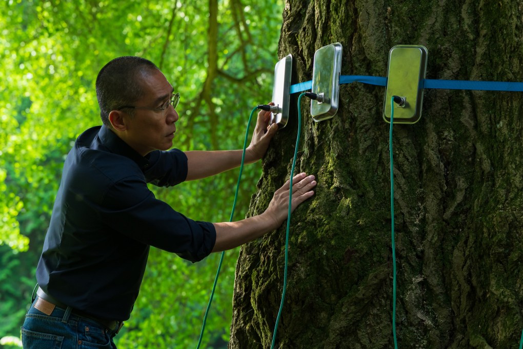 Tony Leung Chiu-wai’s character studies a gingko tree in a still from Silent Friend, directed by Ildikó Enyedi. Luna Wedler and Enzo Brumm co-star. Photo: Lenke Szilagyi