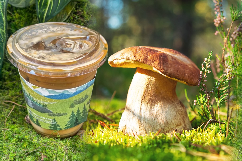 A coffee shop in China has launched a penny bun mushroom latte, made from a rare mushroom and priced at US$3 a cup. Photo: SCMP composite/Shutterstock/RedNote