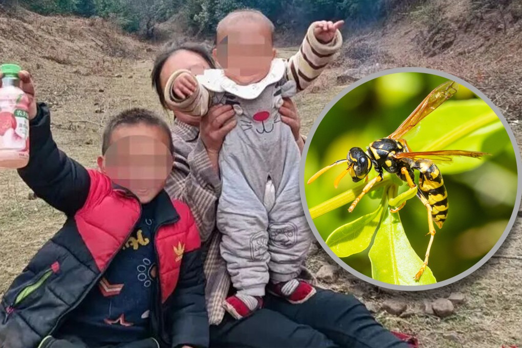 A seven-year-old boy and his two-year-old sister were stung to death by wasps in Yunnan. Photo: SCMP composite/Shutterstock/Jimu