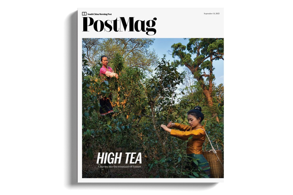 Tea grower Yi Zhang and her stepdaughter Ye Nanen pluck leaves in Da Ping Zhang, a forest on Jingmai Mountain, Yunnan province, on the cover of this week’s PostMag print edition. Photo: Justin Jin
