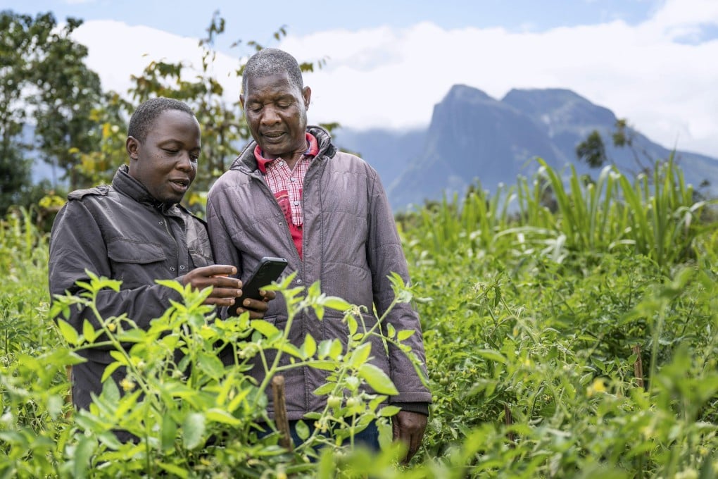 Alex Maere, right, uses an AI chatbot with a fellow farmer in southern Malawi in July. Photo: AP