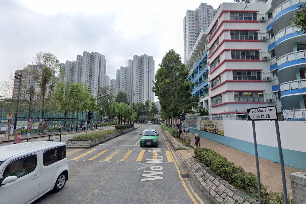 The incident happened at a school on Wo Muk Road in Fanling. Photo: Google Maps