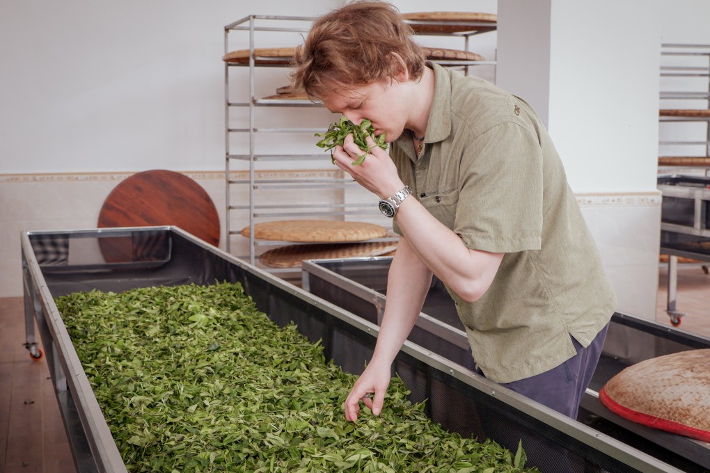 Jason Cohen takes in the aroma of Sheng Puer tea in Yiwu, Yunnan province. Photo: courtesy Jason Cohen