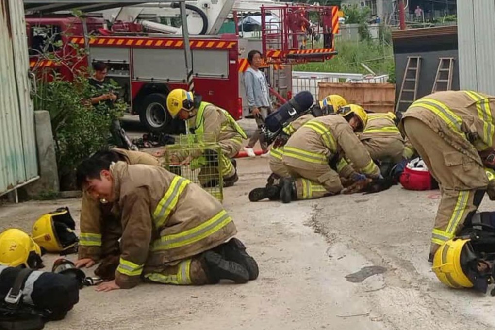Several firefighters were seen kneeling on the ground at the scene, urgently working to revive the animals. Photo: Animal Post