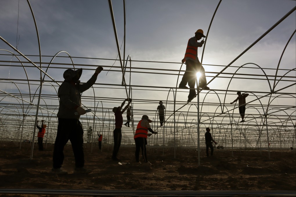 Farm workers in Xinjiang, where the regional government has acknowledged the impact of US sanctions for the first time. Photo: Getty Images