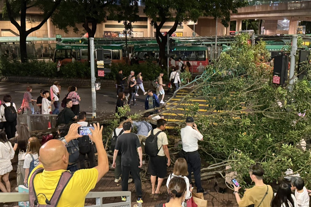 The tree fell over near Sheung Shui MTR station on Sunday night. Photo: Handout