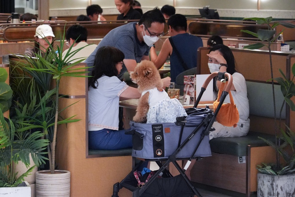 Diners bring a dog to a pet-friendly shopping centre in Sha Tin. Photo: Eugene Lee