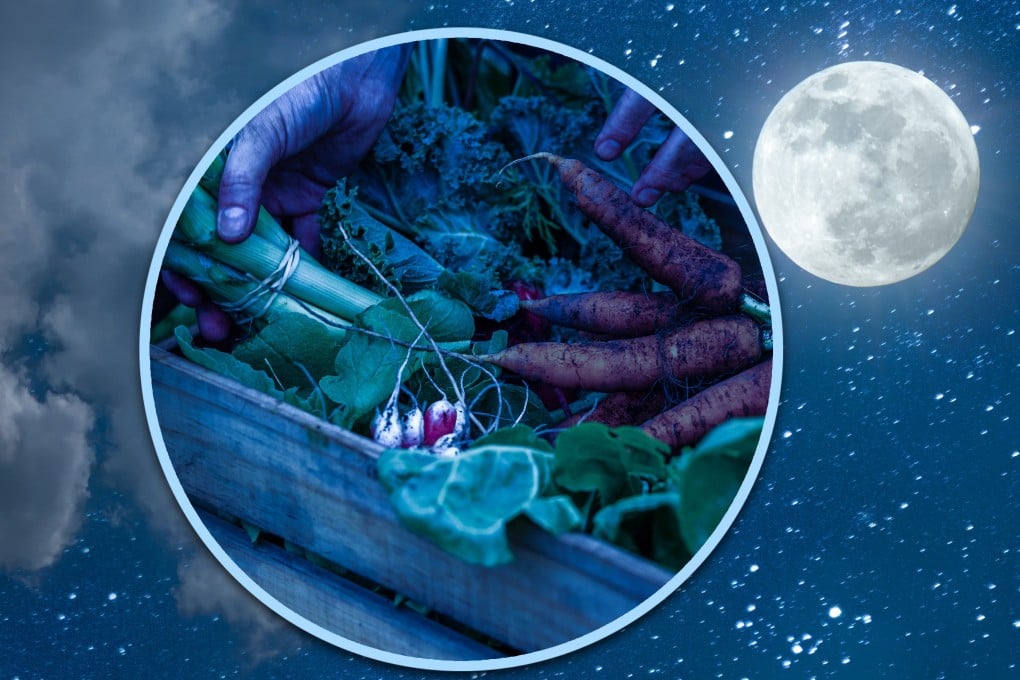 In Taiwan, unmarried women celebrate Mid-Autumn Festival by sneaking into neighbours’ gardens to “steal” green onions in a custom believed to help them find ideal partners. Photo: SCMP composite/Shutterstock