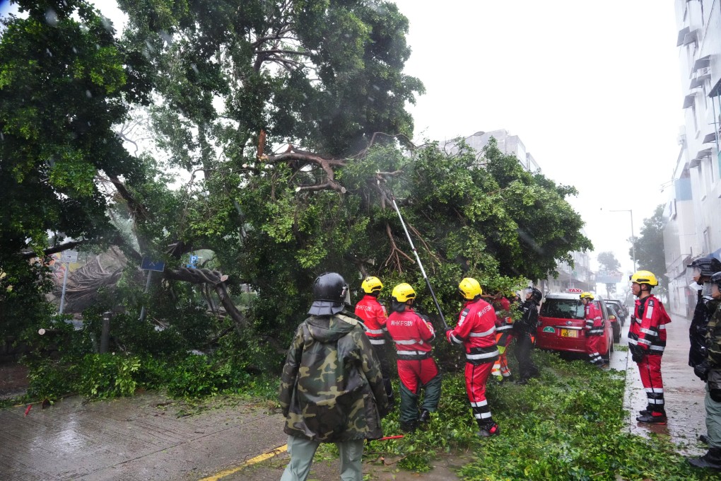 Firefighters and police officers work to remove a fallen tree in Sai Kung. Photo: May Tse