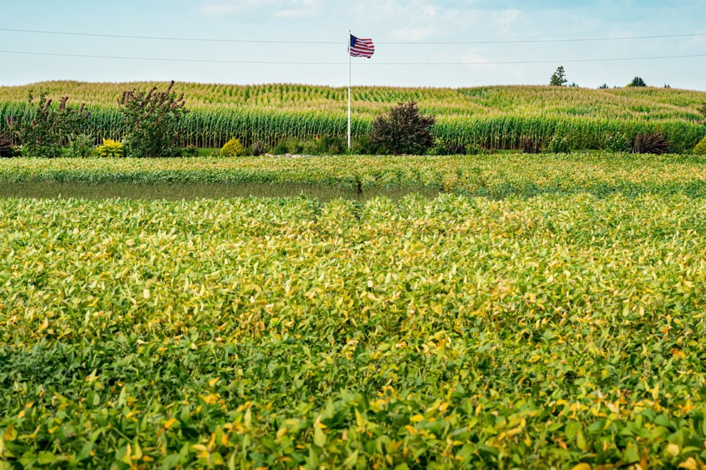 Farmers across the American Midwest have few to no buyers in a high-yield year for soybeans, mainly because China is buying from South America as a tariff war continues between Beijing and Washington. Photo: TNS