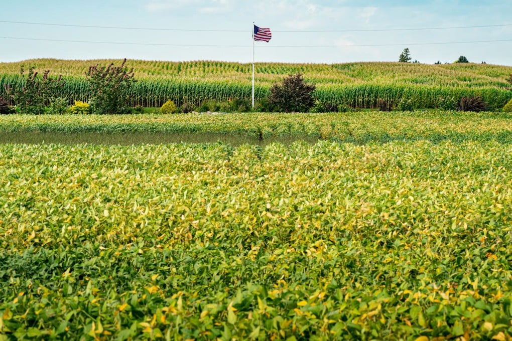 Farmers across the American Midwest have few to no buyers in a high-yield year for soybeans, mainly because China is buying from South America as a tariff war continues between Beijing and Washington. Photo: TNS