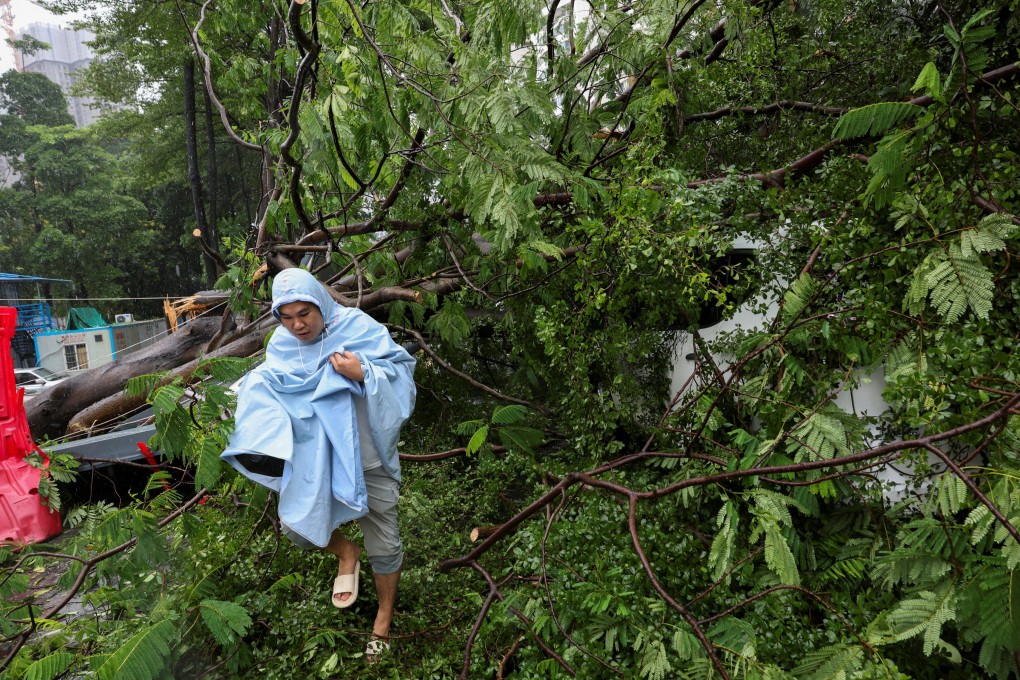 A person walks by a fallen tree in the aftermath of Super Typhoon Ragasa in Shenzen, Guangdong province, on Wednesday. Photo: Reuters