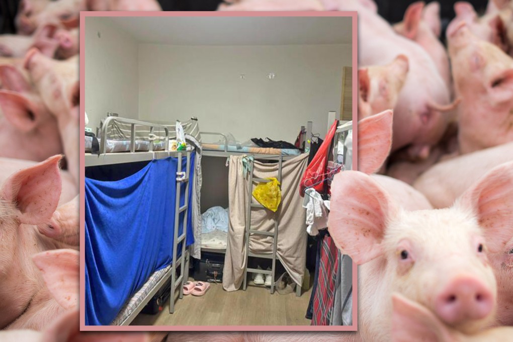 A woman from China who moved to Singapore for work and rented a bed space unseen for US$350 a month discovered she was sharing a filthy, inhumane dwelling. Photo: SCMP composite/Shutterstock/zaobao.com