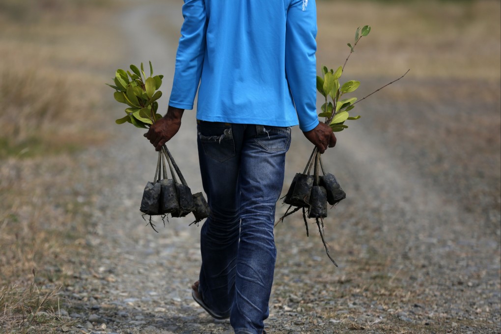 A participant of a sustainable tourism campaign in Banda Aceh, Indonesia, helps to plant mangrove seedlings on September 27. Nature-based solutions must not be treated as side projects but embedded into economic resilience strategies. Photo: EPA