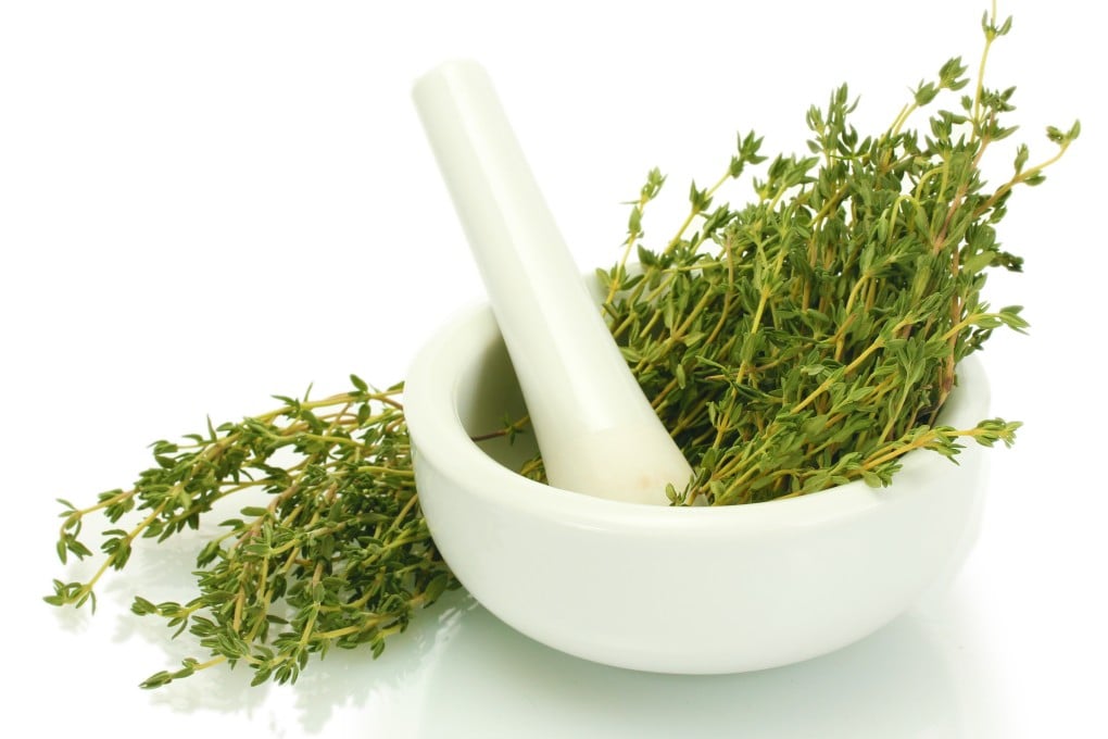Thyme is a fragrant herb that is used in aromatherapy and goes beautifully with meat and vegetables. We share a recipe that takes pork chops to new heights. Photo: Shutterstock